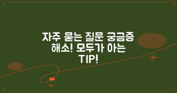 자주 묻는 질문
